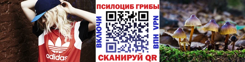 Псилоцибиновые грибы мицелий  Сосногорск 